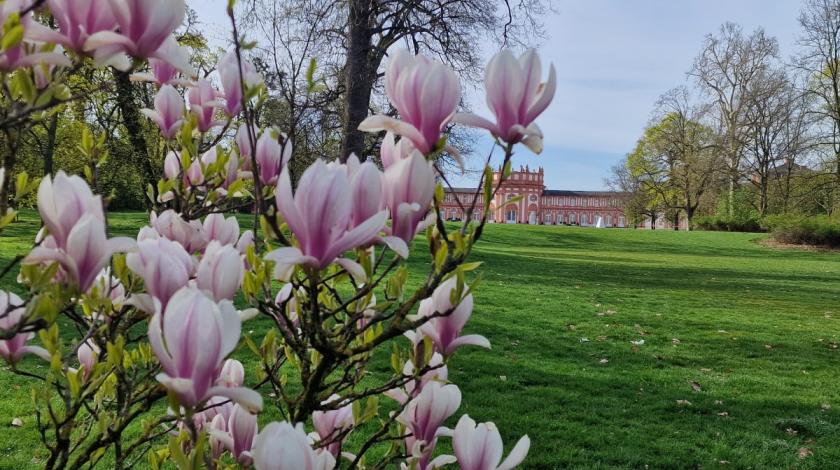 Filme im Schloss
